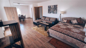 Studio Apartmani Venecija